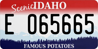 ID license plate E065665