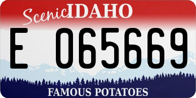 ID license plate E065669