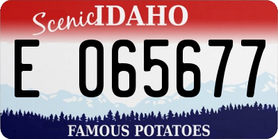 ID license plate E065677