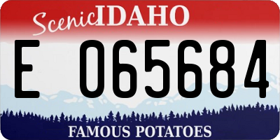 ID license plate E065684