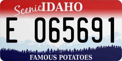 ID license plate E065691