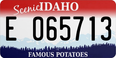 ID license plate E065713