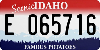 ID license plate E065716
