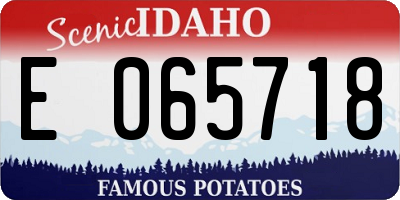 ID license plate E065718