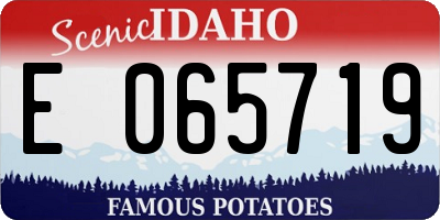 ID license plate E065719