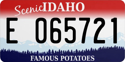ID license plate E065721