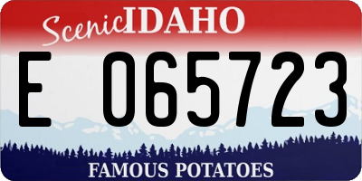 ID license plate E065723