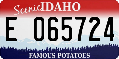 ID license plate E065724