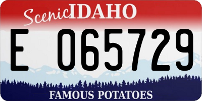 ID license plate E065729