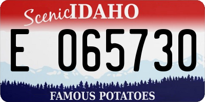 ID license plate E065730