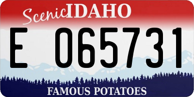 ID license plate E065731