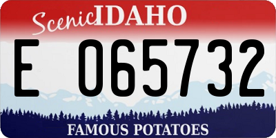 ID license plate E065732