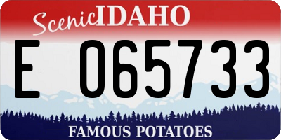 ID license plate E065733