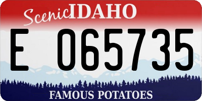 ID license plate E065735