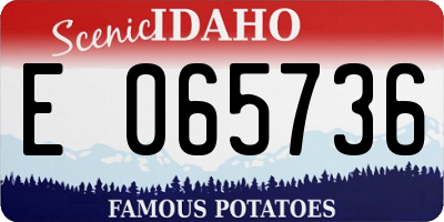 ID license plate E065736