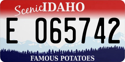 ID license plate E065742