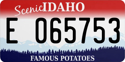 ID license plate E065753
