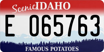 ID license plate E065763