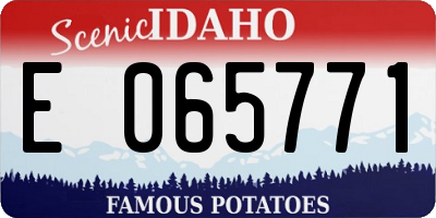 ID license plate E065771