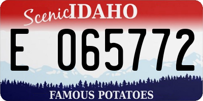 ID license plate E065772