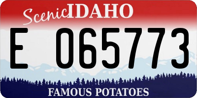 ID license plate E065773