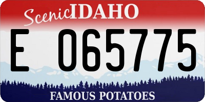 ID license plate E065775