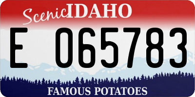 ID license plate E065783