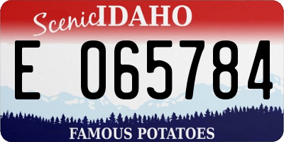ID license plate E065784