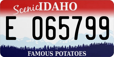 ID license plate E065799
