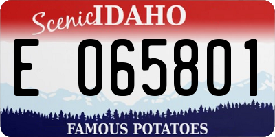 ID license plate E065801