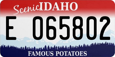 ID license plate E065802