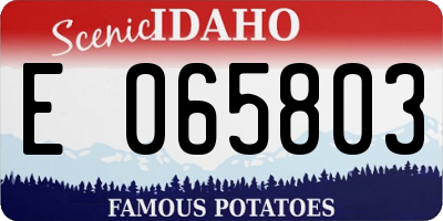 ID license plate E065803
