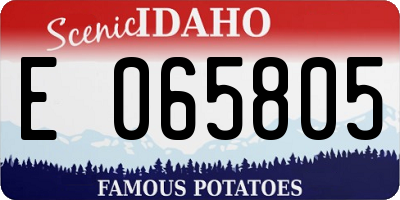 ID license plate E065805
