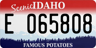 ID license plate E065808