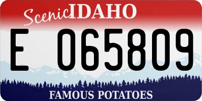 ID license plate E065809