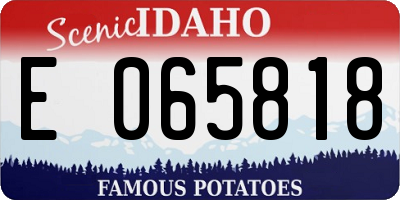 ID license plate E065818