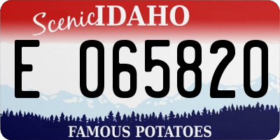 ID license plate E065820