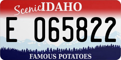 ID license plate E065822
