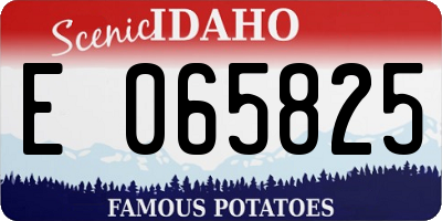 ID license plate E065825