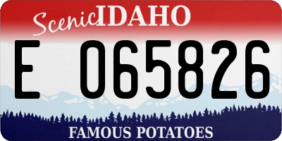 ID license plate E065826