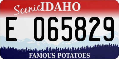 ID license plate E065829