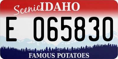 ID license plate E065830