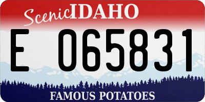 ID license plate E065831