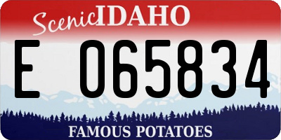 ID license plate E065834