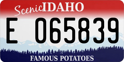ID license plate E065839