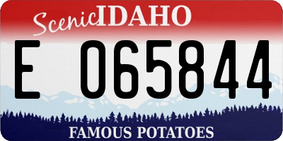 ID license plate E065844