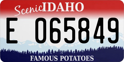 ID license plate E065849