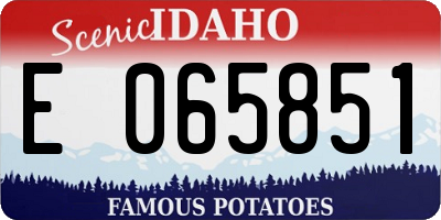 ID license plate E065851