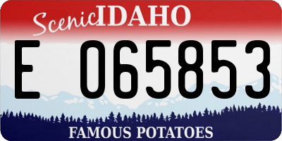 ID license plate E065853