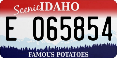 ID license plate E065854